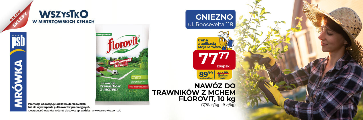 zdjęcie na stronie głównej